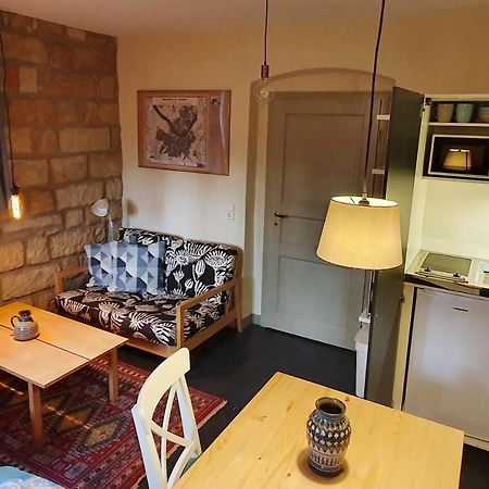 Villa Haniel Apartment Leo Drezda Kültér fotó