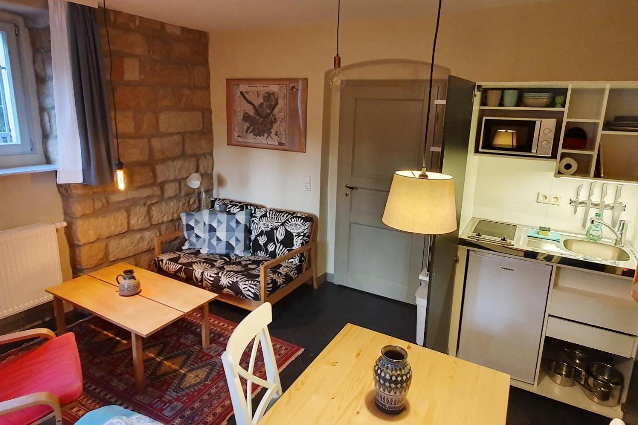 Villa Haniel Apartment Leo Drezda Kültér fotó