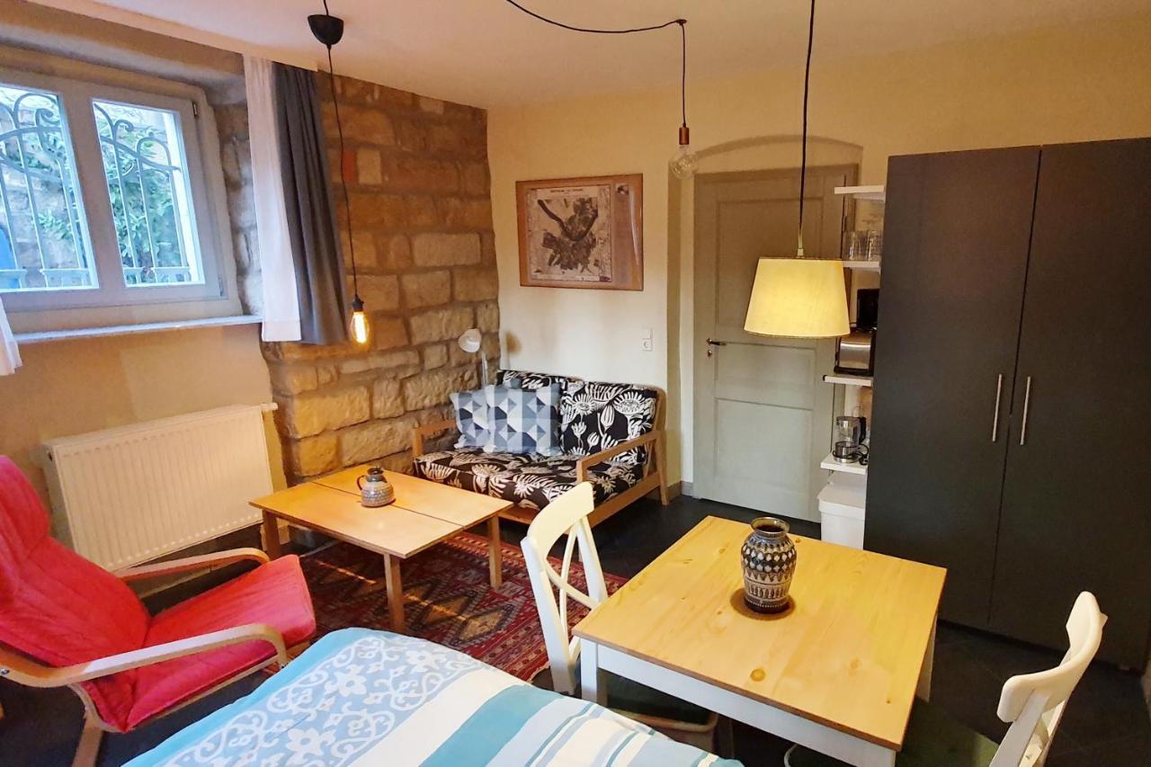 Villa Haniel Apartment Leo Drezda Kültér fotó